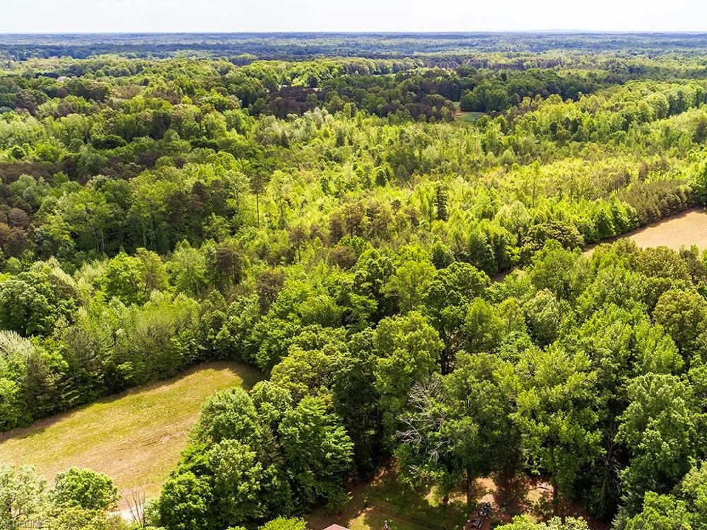 5338 Hicone Road McLeansville, NC 27301
