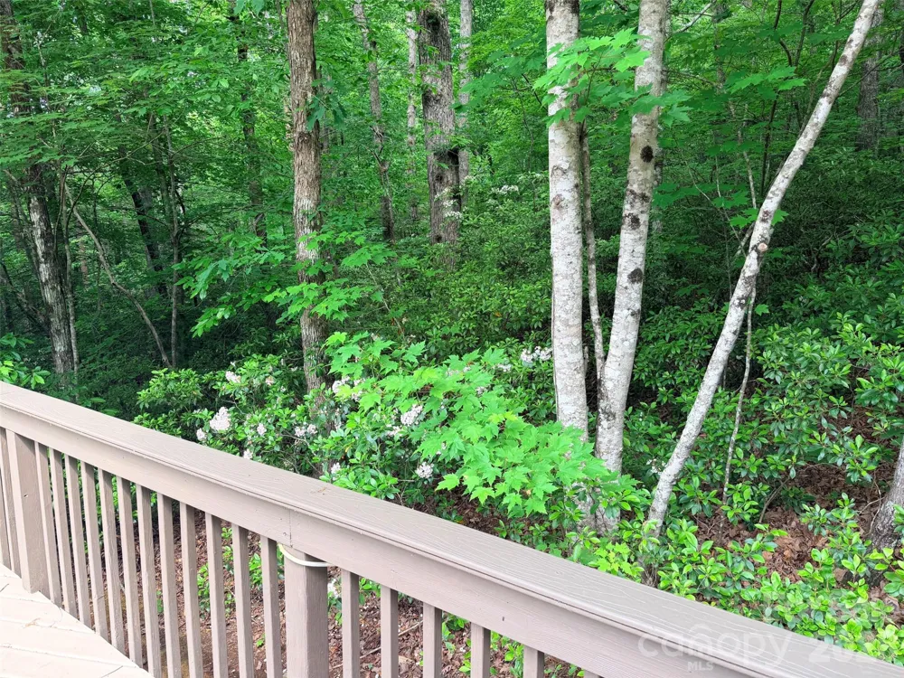 104 Willis Way Lake Lure, NC 28746