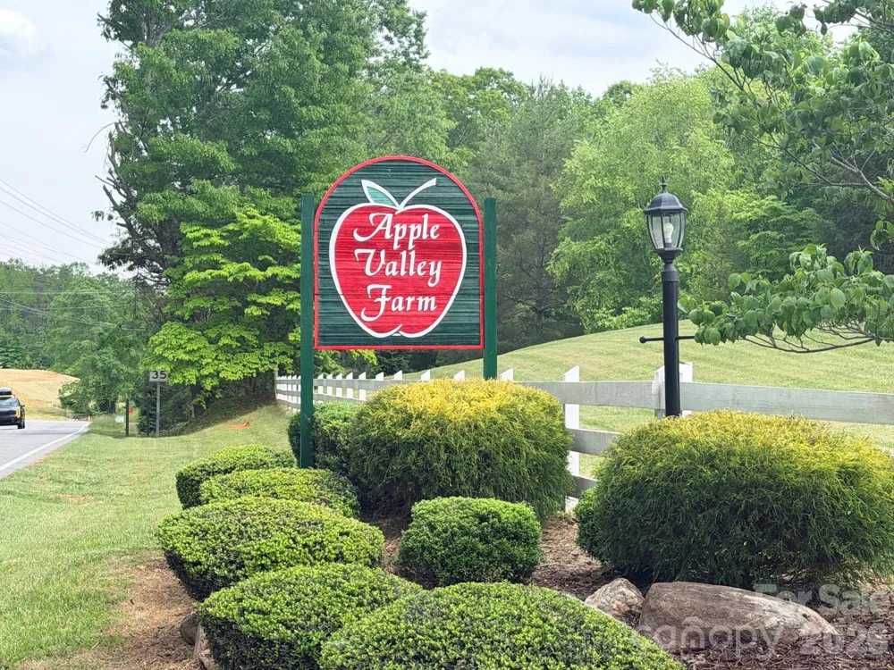 104 Willis Way Lake Lure, NC 28746