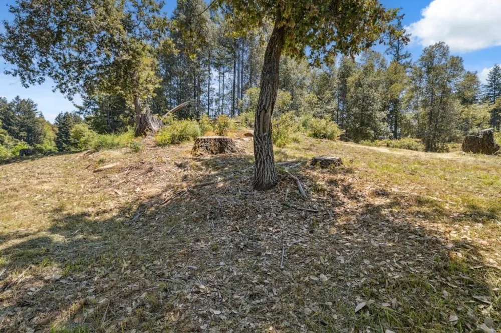 601 Westdale Drive Santa Cruz, CA 95060