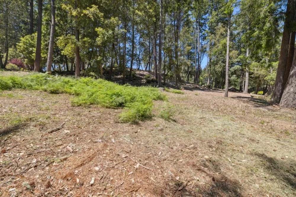 601 Westdale Drive Santa Cruz, CA 95060