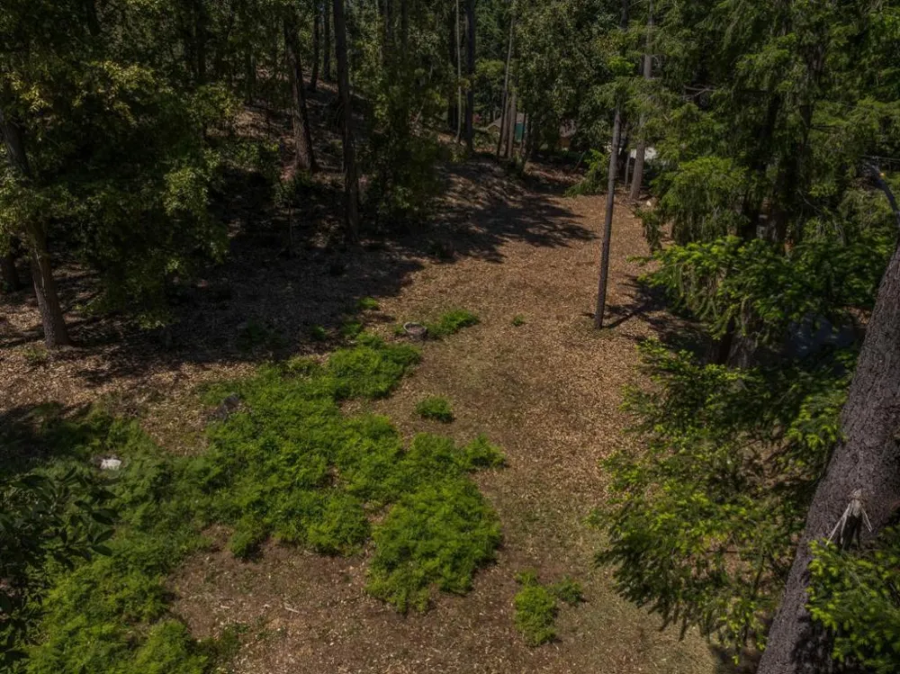 601 Westdale Drive Santa Cruz, CA 95060