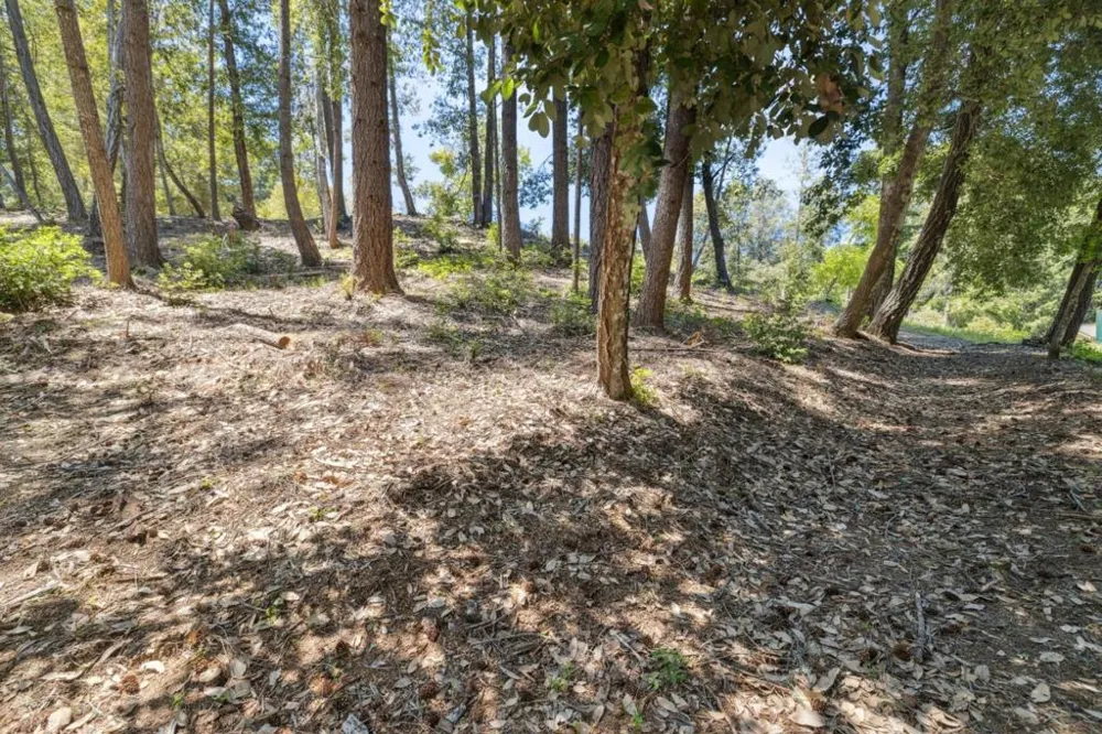 601 Westdale Drive Santa Cruz, CA 95060