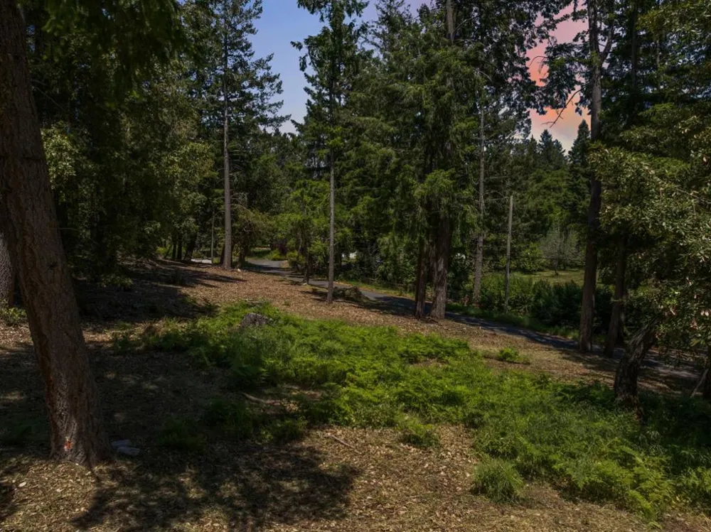 601 Westdale Drive Santa Cruz, CA 95060