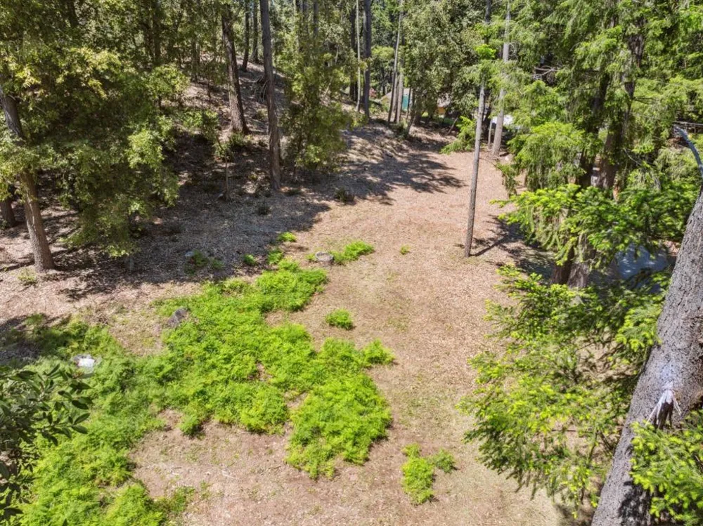 601 Westdale Drive Santa Cruz, CA 95060