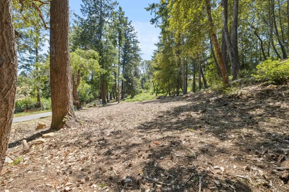 601 Westdale Drive Santa Cruz, CA 95060