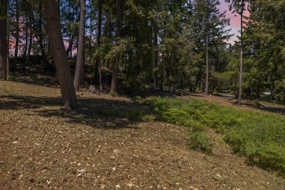601 Westdale Drive Santa Cruz, CA 95060