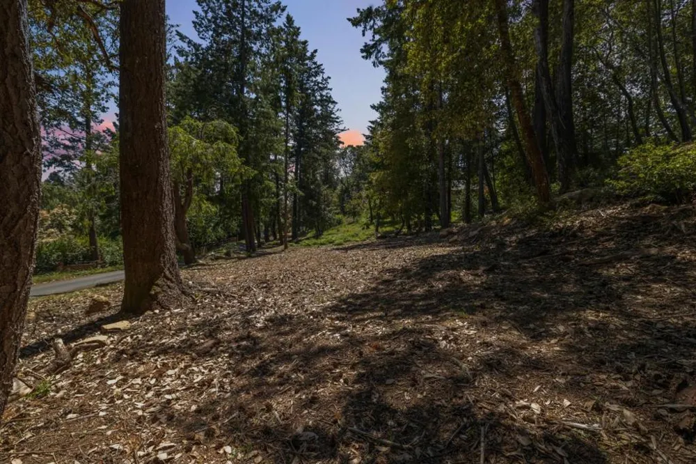 601 Westdale Drive Santa Cruz, CA 95060