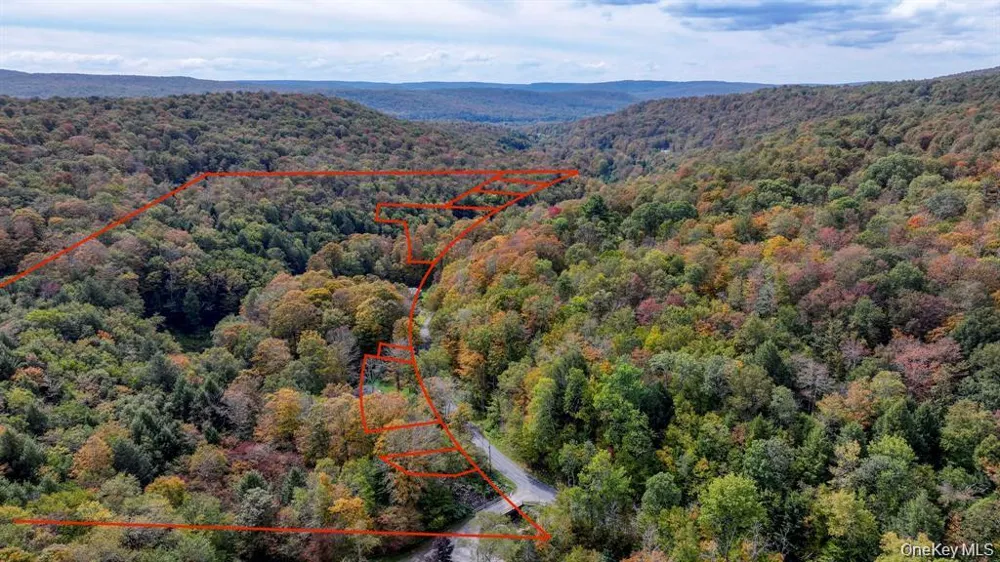Grooville Road Livingston Manor, NY 12758