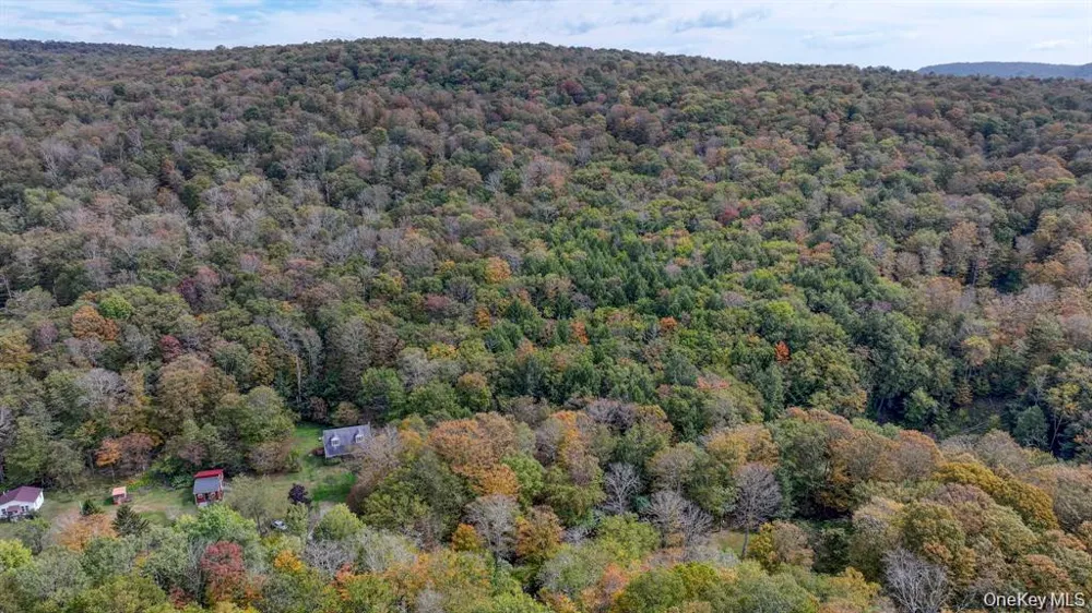 Grooville Road Livingston Manor, NY 12758