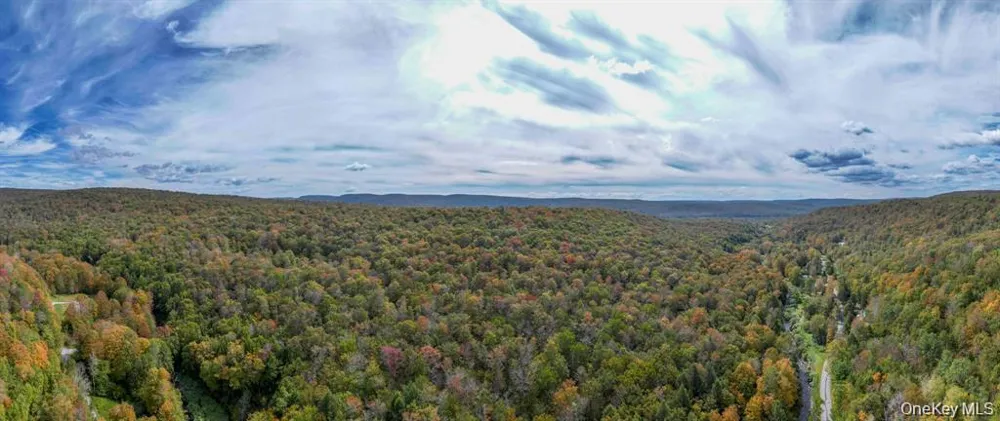 Grooville Road Livingston Manor, NY 12758
