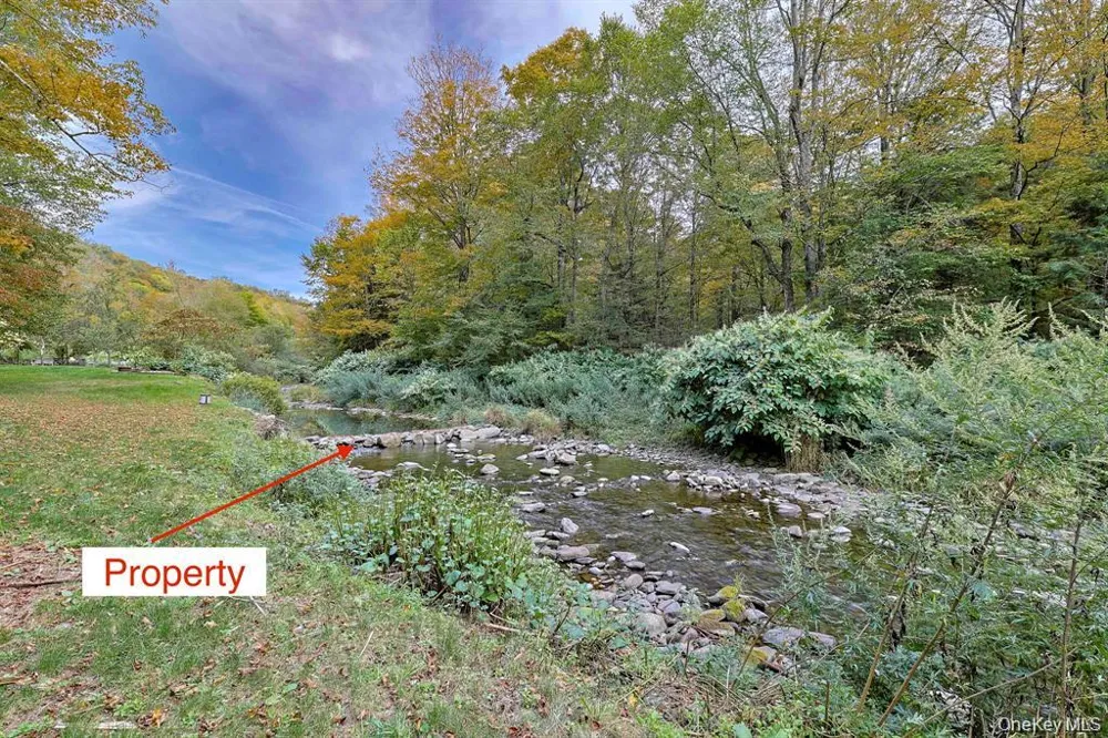 Grooville Road Livingston Manor, NY 12758