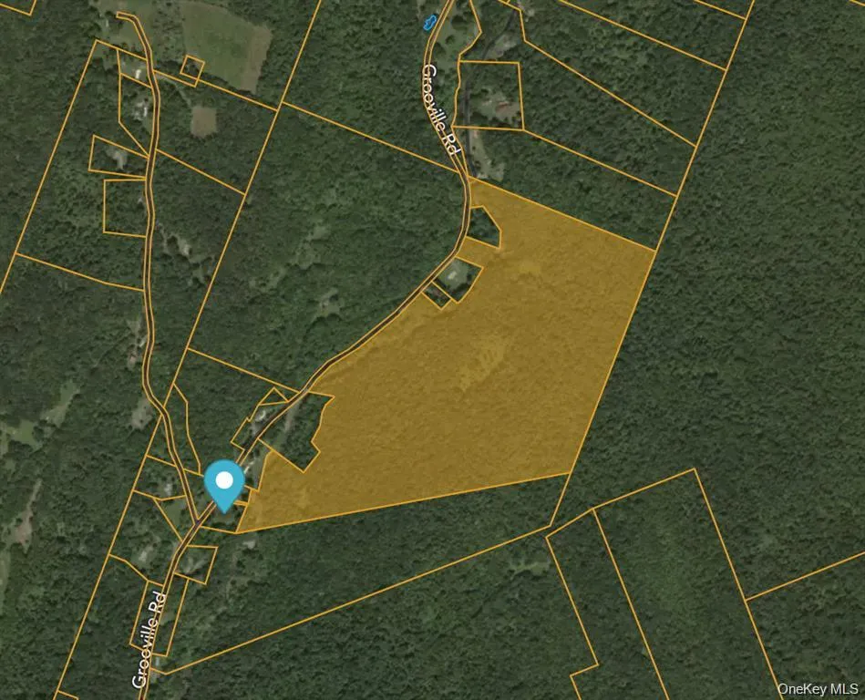 Grooville Road Livingston Manor, NY 12758