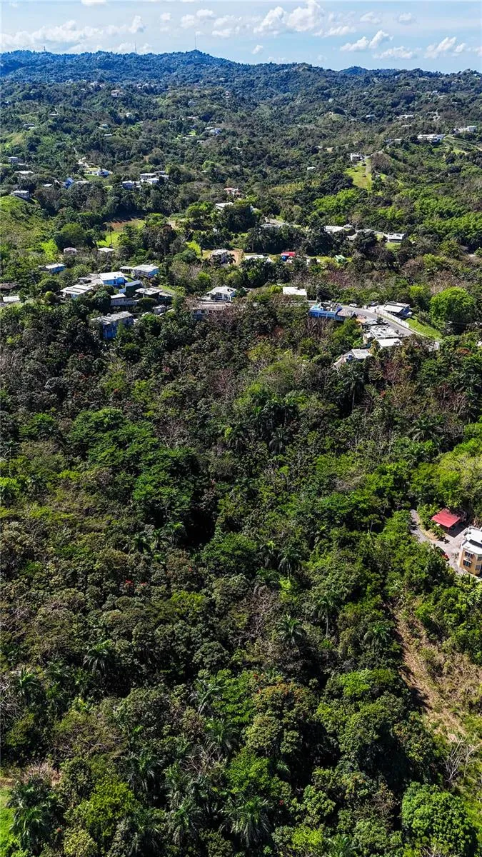 Carr. 414 KM 3.2 BO.CRUCES Aguada, PR 00602