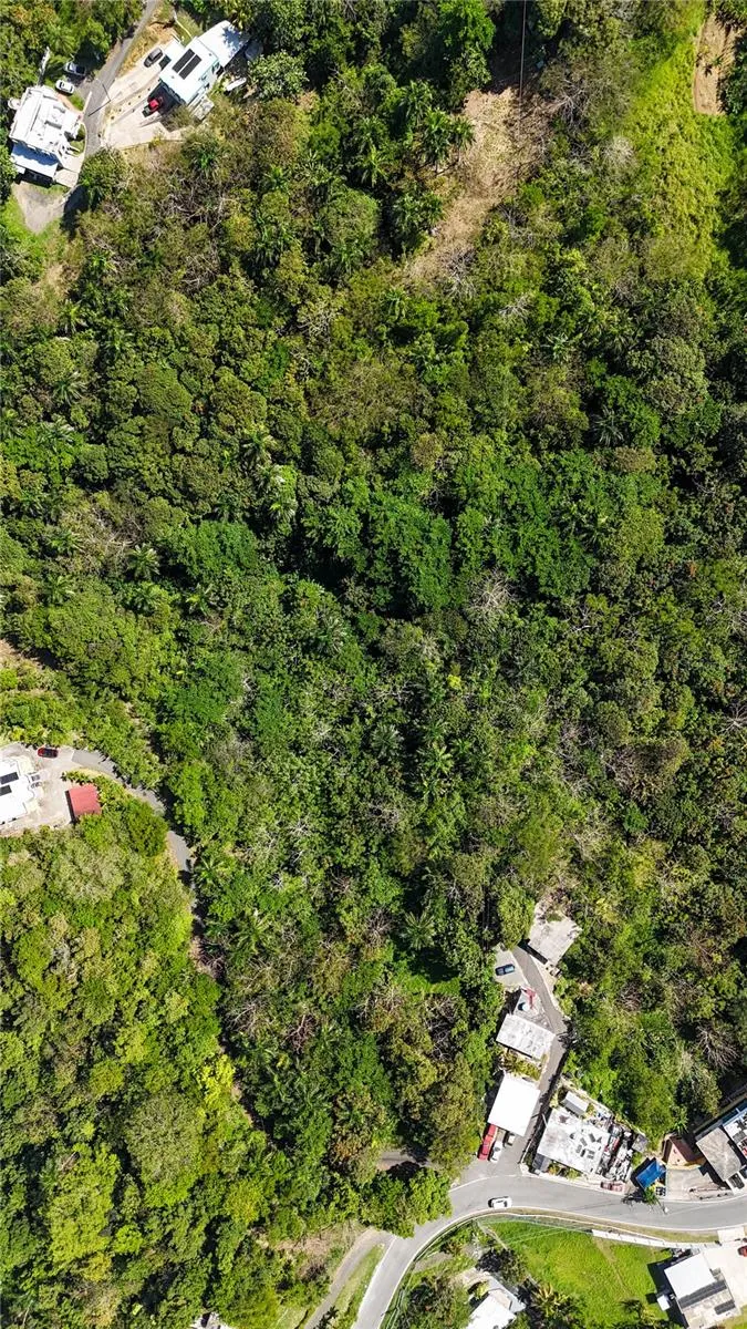 Carr. 414 KM 3.2 BO.CRUCES Aguada, PR 00602