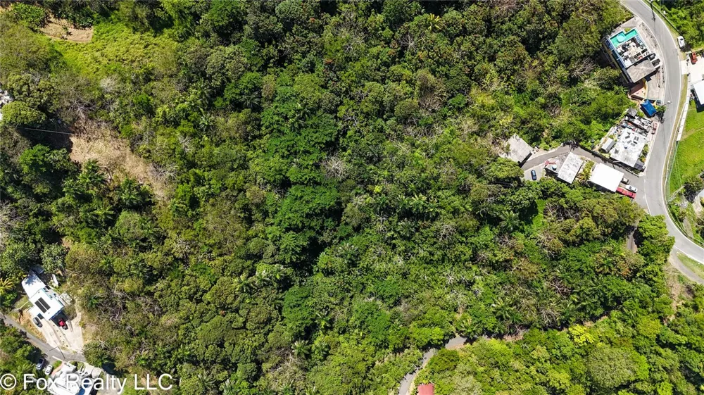 Carr. 414 KM 3.2 BO.CRUCES Aguada, PR 00602