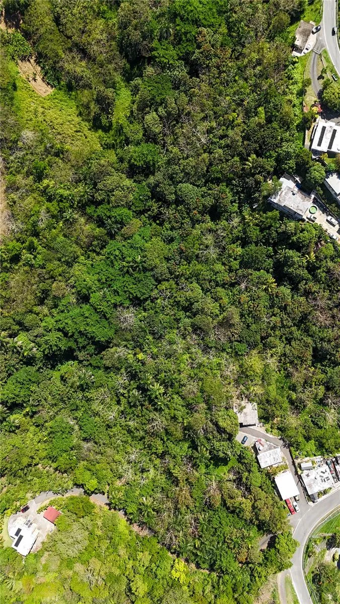 Carr. 414 KM 3.2 BO.CRUCES Aguada, PR 00602