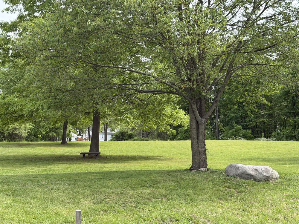 9464 Ripple Water Drive Delton, MI 49046