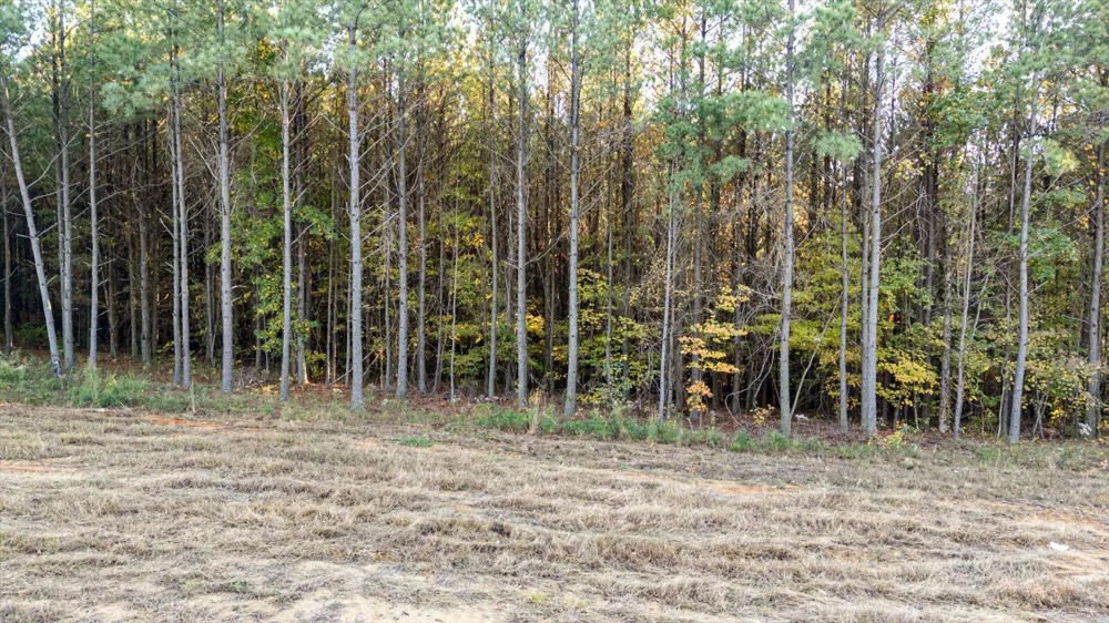 Legacy Drive Guild, TN 37340