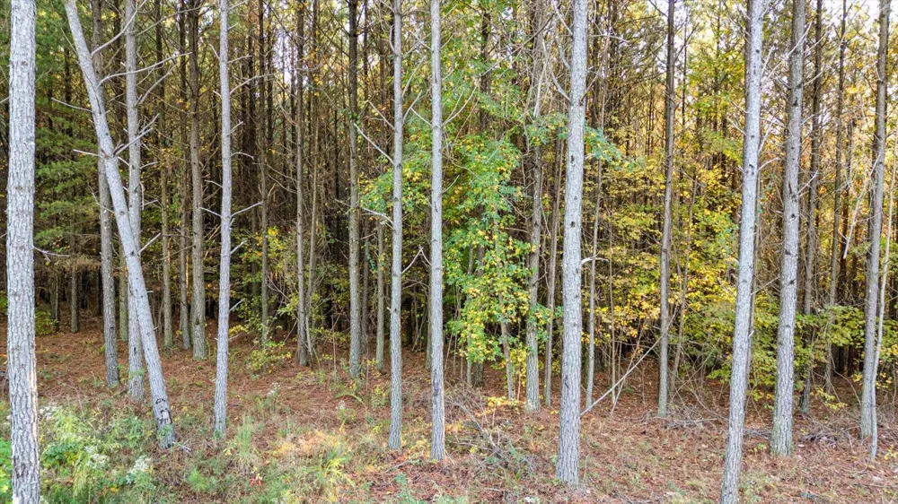 Legacy Drive Guild, TN 37340