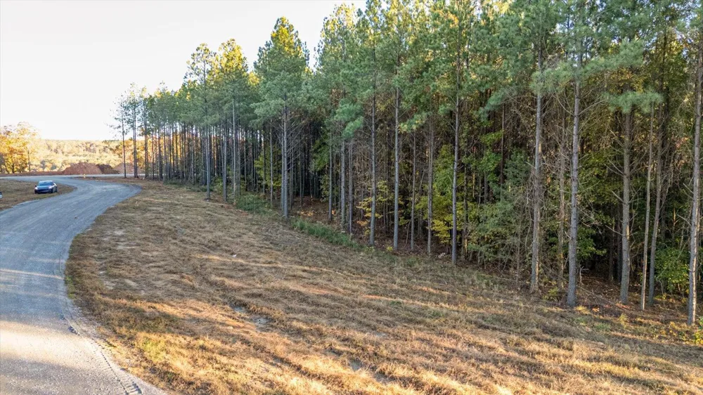 Legacy Drive Guild, TN 37340