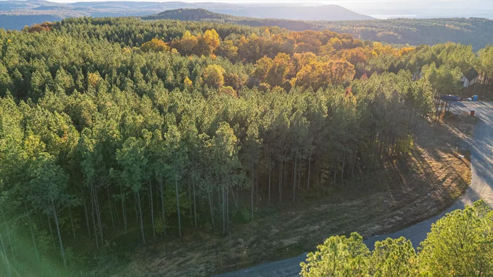 Legacy Drive Guild, TN 37340
