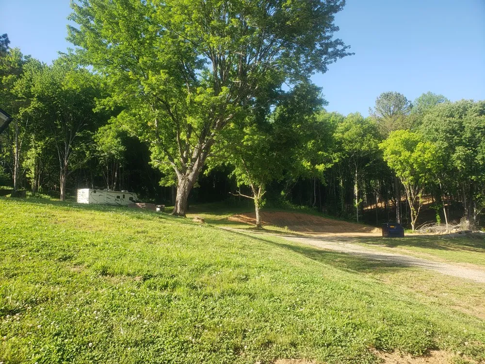 5822 Us Hwy 64 W Brasstown, NC 28902