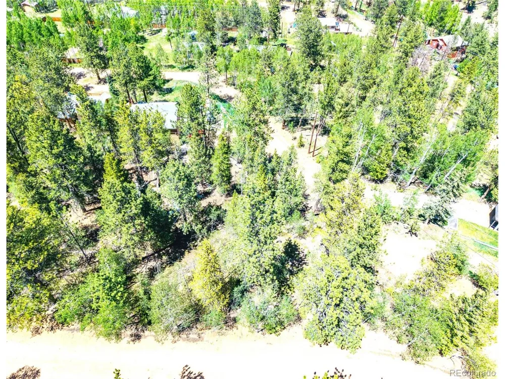 33 Smith Street Bailey, CO 80421