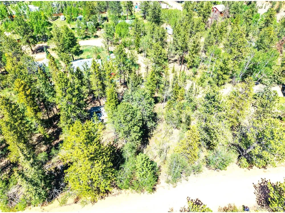33 Smith Street Bailey, CO 80421