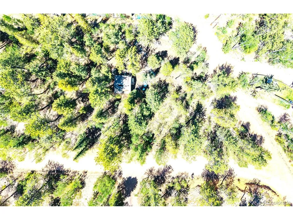 33 Smith Street Bailey, CO 80421