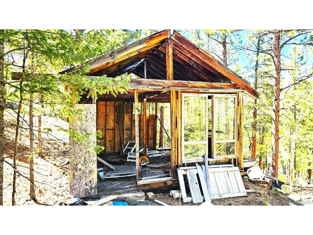 33 Smith Street Bailey, CO 80421