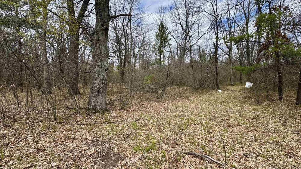 1496 17 Mile Road Middle Branch Township, MI 49665