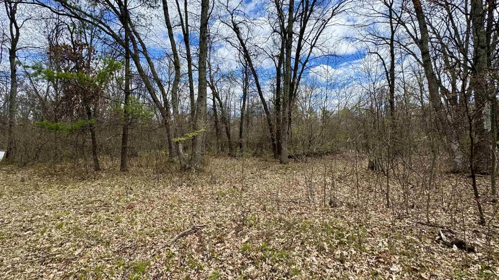 1496 17 Mile Road Middle Branch Township, MI 49665