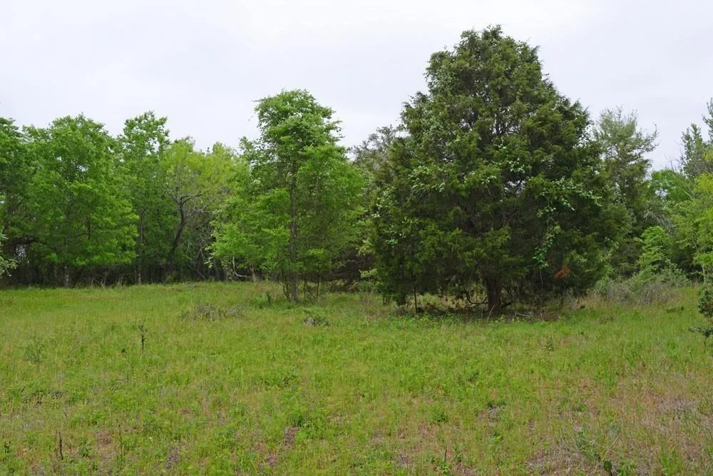 FM 86 Red Rock, TX 78662
