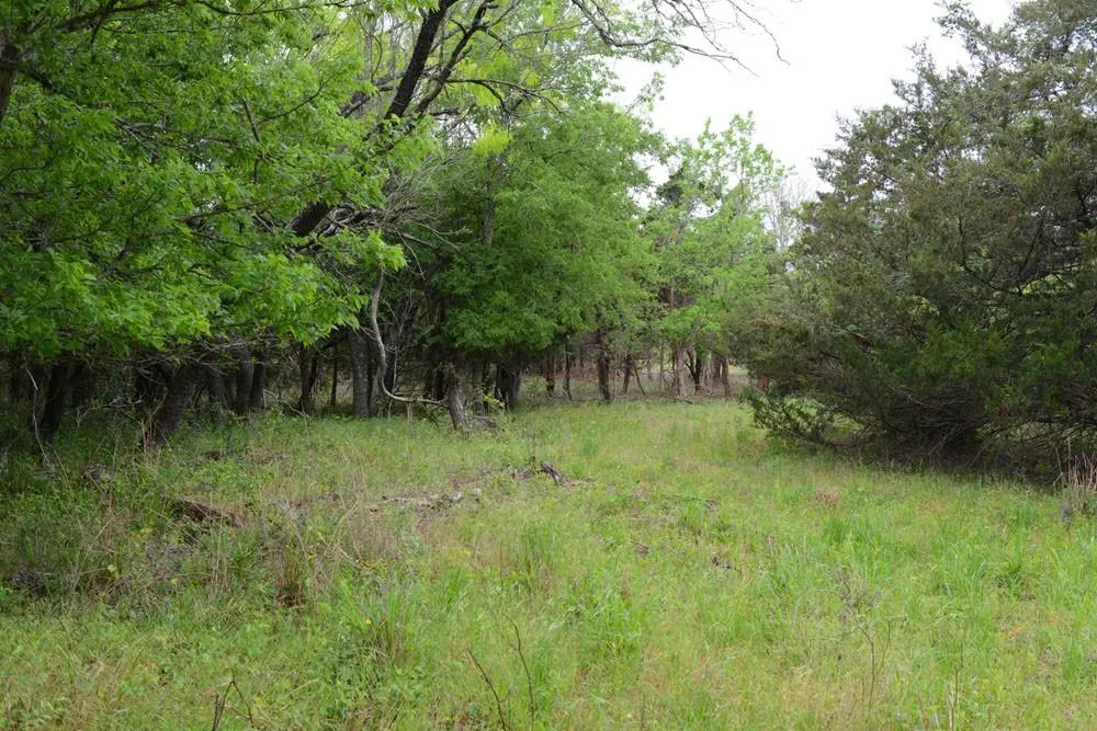 FM 86 Red Rock, TX 78662