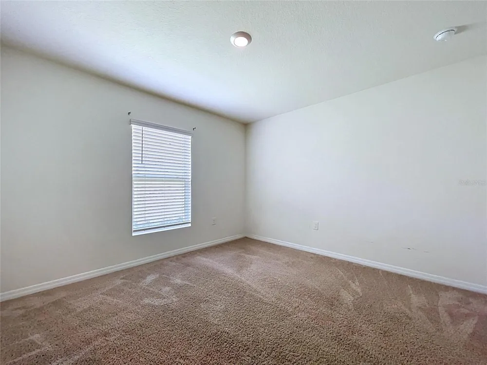 7804 DAVIE RAY DRIVE Zephyrhills, FL 33540
