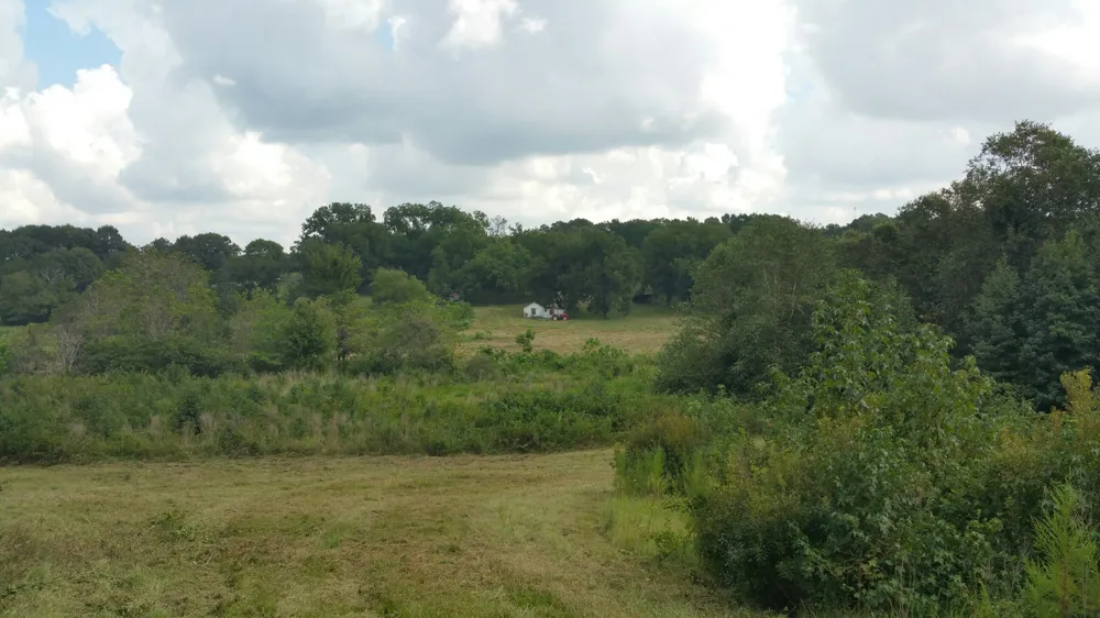 County rd 35 Road Tyler, TX 75706
