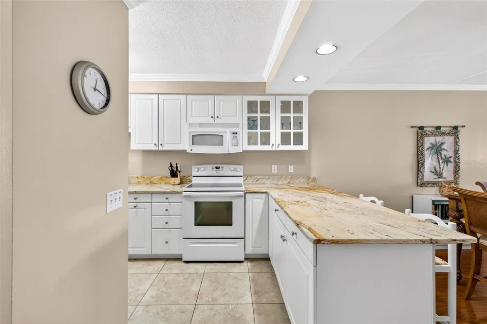 1008 APOLLO BEACH BOULEVARD #206 Apollo Beach, FL 33572