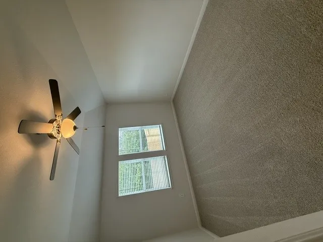 144 Woodbrook Drive Georgetown, TX 78674