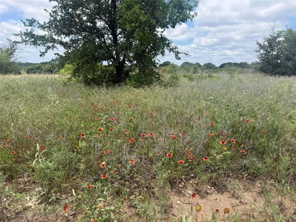 10131 Horizon View Tolar, TX 76476