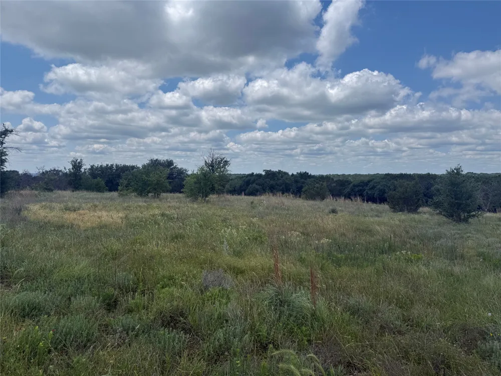 10131 Horizon View Tolar, TX 76476