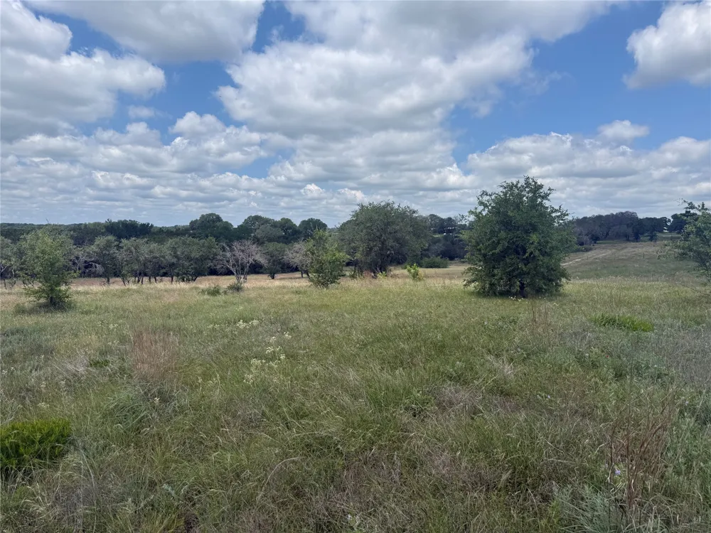 10131 Horizon View Tolar, TX 76476