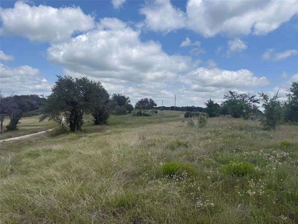 10131 Horizon View Tolar, TX 76476