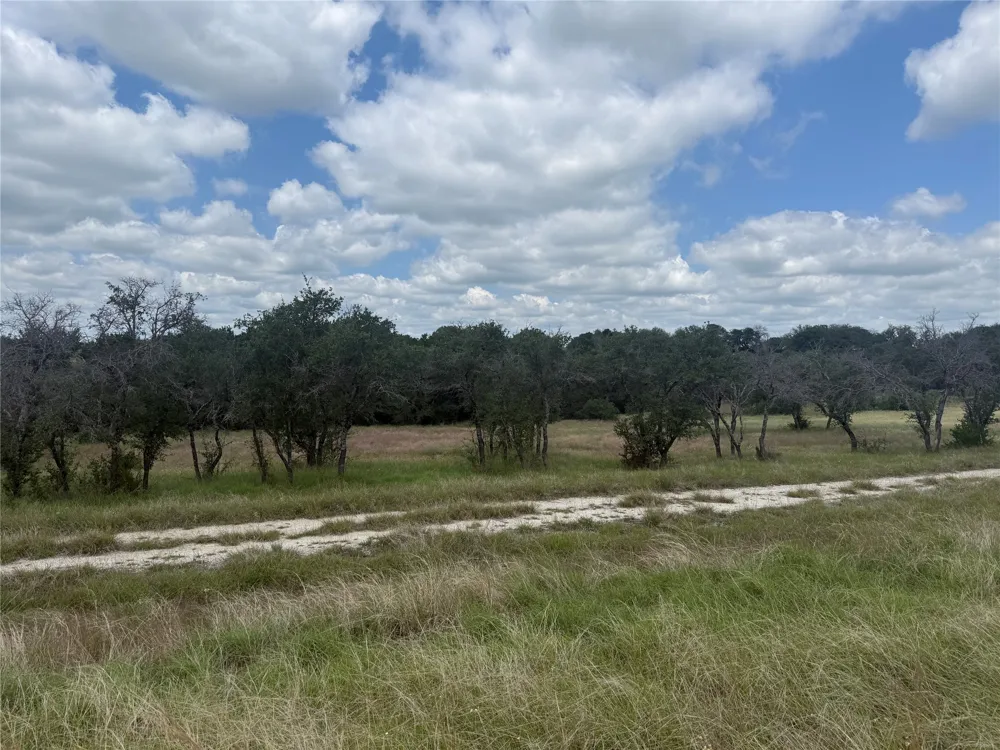 10131 Horizon View Tolar, TX 76476