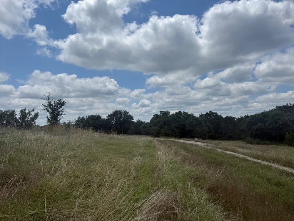 10131 Horizon View Tolar, TX 76476