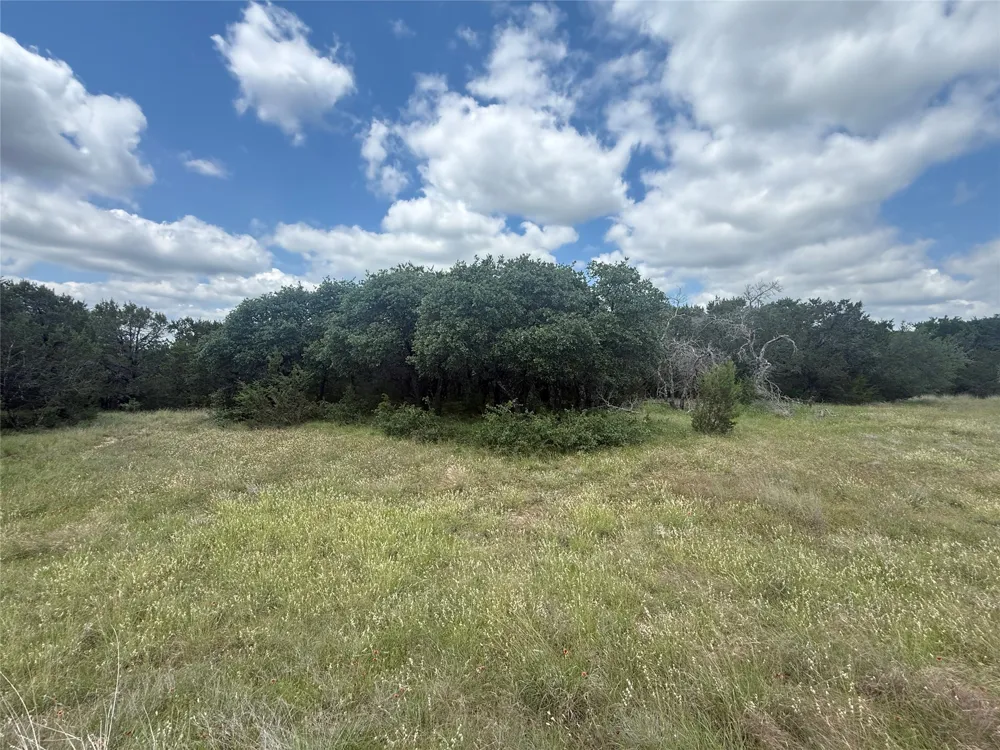 10131 Horizon View Tolar, TX 76476