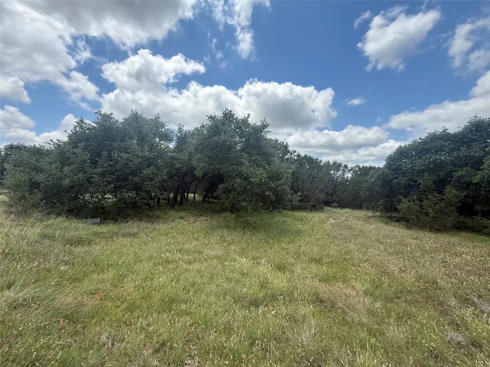 10131 Horizon View Tolar, TX 76476