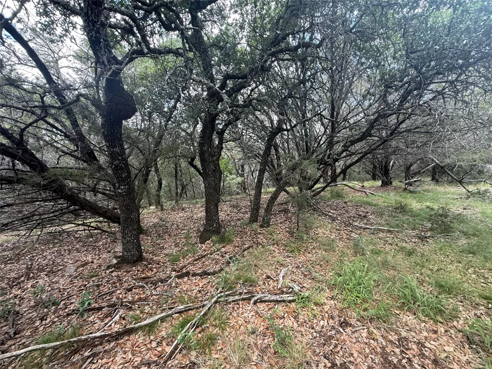 10131 Horizon View Tolar, TX 76476