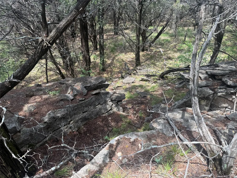 10131 Horizon View Tolar, TX 76476