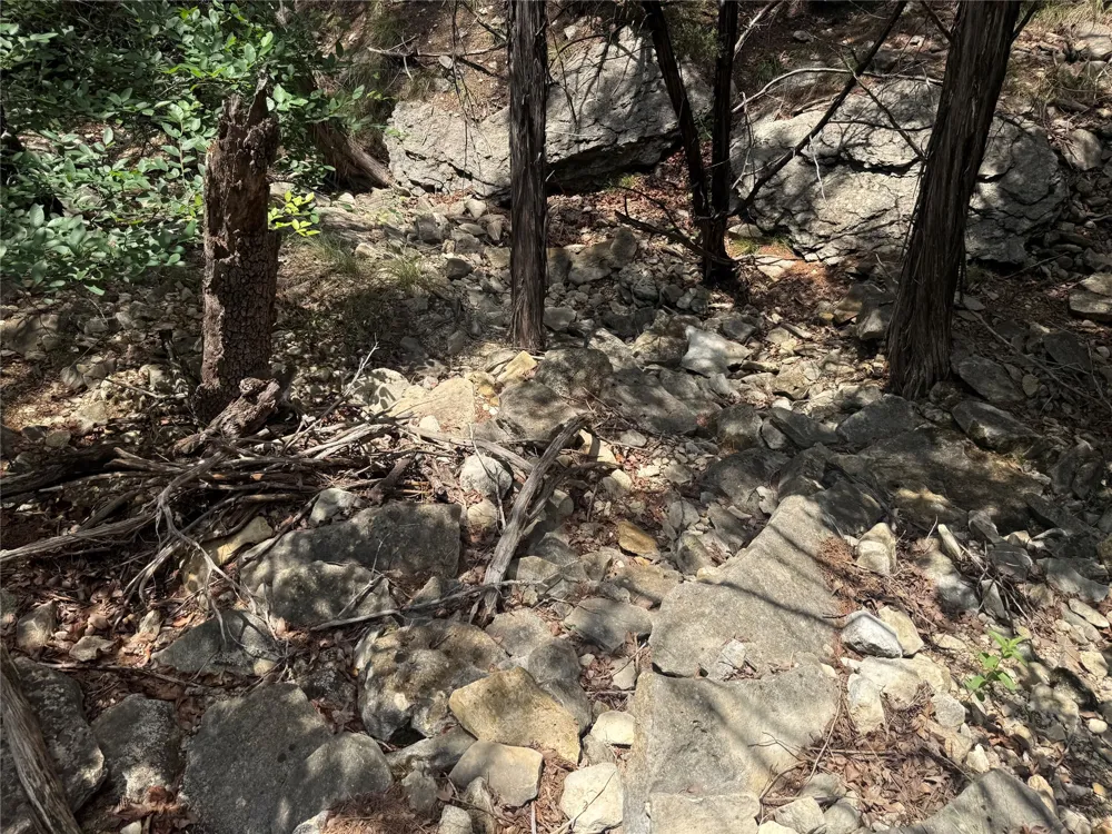 10131 Horizon View Tolar, TX 76476